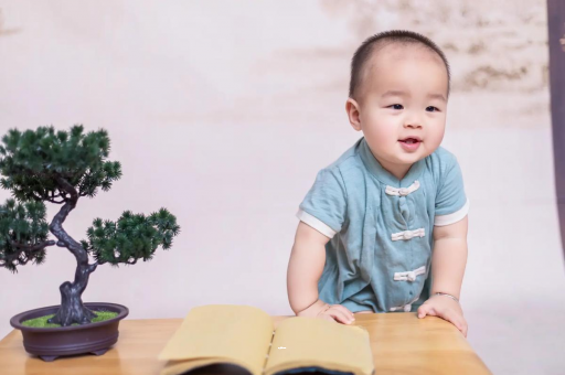 桂林可爱的企鹅宝宝